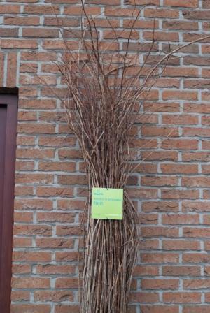 'T Bruggeske Vila Mol Exterior foto